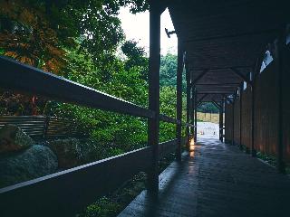 整體概覽