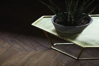 Hotel V Fizeaustraat, Amsterdam and vicinity