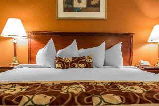 Room Room