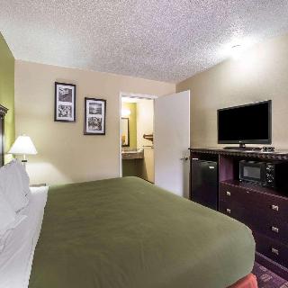 Room Room