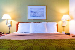 Room Room