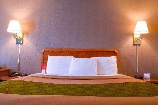Room Room