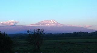 General view thumbnail 12