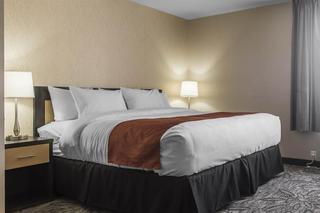 Quality Inn & Suites Kingston