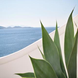 Anax Resort And Spa