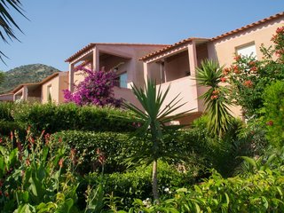 Benista No.3, Corsica