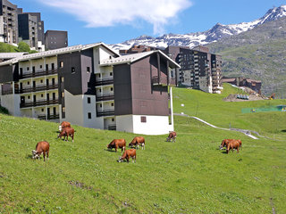 Les Asters No.6, French Alps