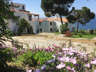 Punta Paliagi No.4, Corsica