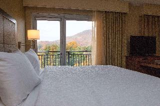 1 King W/Mic/Fridge/Wet Bar/Balc Stdo Ste Ns