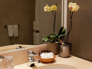 Room Room