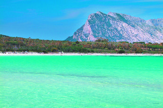 Nettuno Residence, North Sardinia