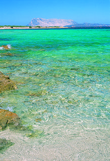 Nettuno Residence, North Sardinia