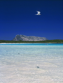 Nettuno Residence, North Sardinia
