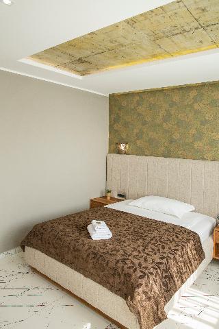 Boutique Hotel Arta