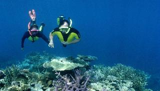 Nukubati Private Island, Great Sea Reef