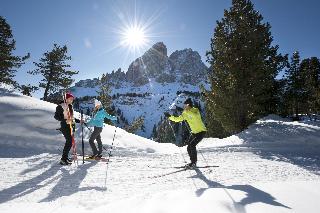 Hotel Chalet Olympia, Trentino Alto Adige