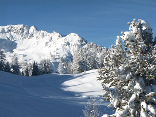 Albarè - One Bedroom No.2, Italian Alps