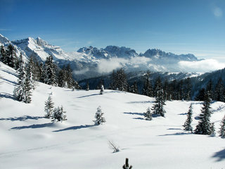 Albarè - One Bedroom No.3, Italian Alps
