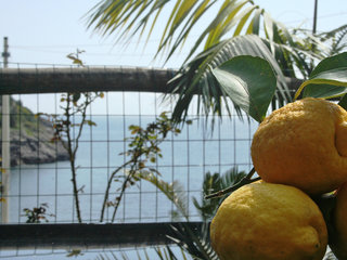 Cantone Bay - Two Bedroom, Sorrento