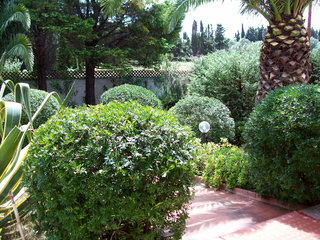 Coki - Three Bedroom, North Sardinia