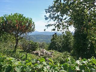 L'Anticiana - Two Bedroom, Lucca