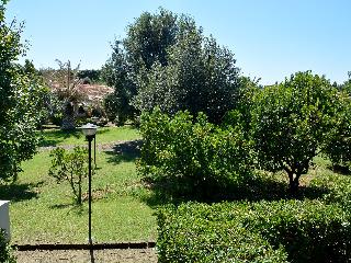 General view