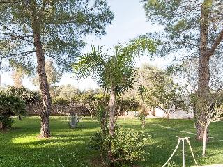 Masseria Alessy - Two Bedroom, Puglia