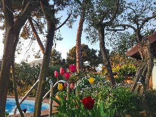 Villa Poggiobello - Two Bedroom, Lucca