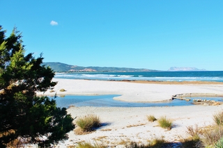 Residence Oleandri Rossi, North Sardinia