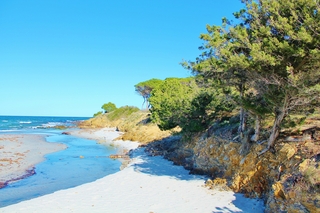 Residence Oleandri Rossi, North Sardinia