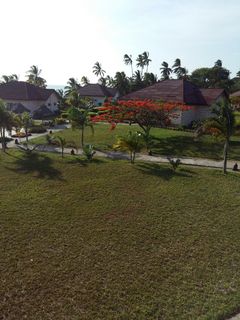 Terrace thumbnail 17