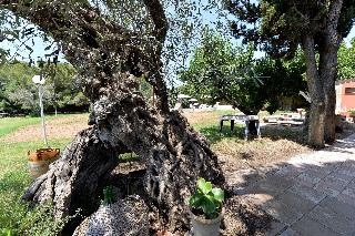Agriturismo Santa Chiara, Puglia