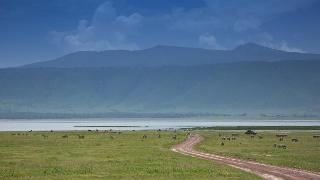 General view thumbnail 9