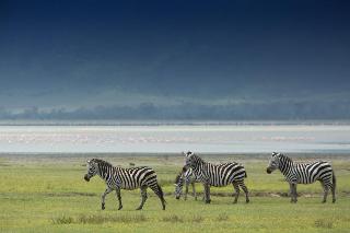 Sports and Entertainment thumbnail 4