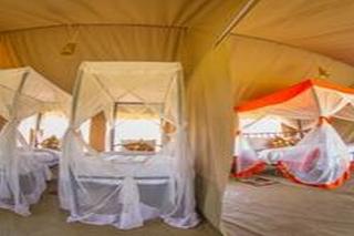 Room thumbnail 10