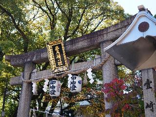 整體概覽