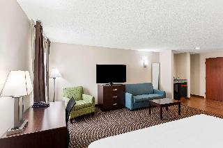 1 King Bed Non-Smoking Larger Room Sofabed Wet Bar Microwave And Refrigerator Wi-Fi Full Breakfast