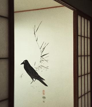 Room thumbnail 28