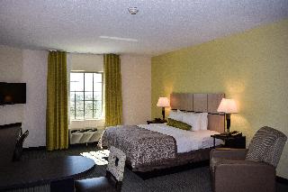 1 King Bed Studio Suite