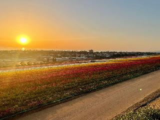 Holiday Inn Carlsbad - San Diego By IHG