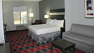 1 King Bed Suite Mobil Access Tub