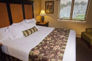 Room Room