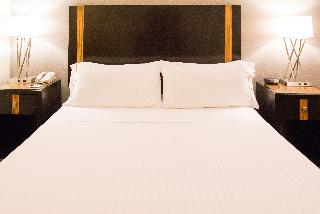 1 King Bed Standard Mobil Accessible Tub