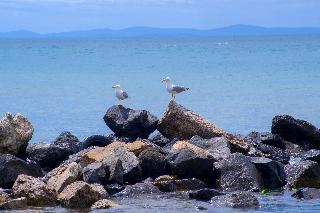 Beach thumbnail 9