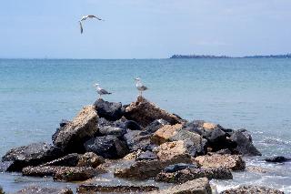 Beach thumbnail 11