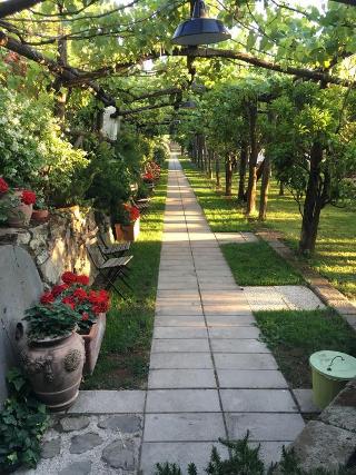 Podere Don Peppe, Sorrento