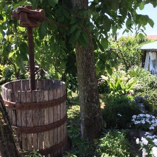 Podere Don Peppe, Sorrento