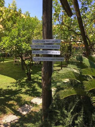 Podere Don Peppe, Sorrento