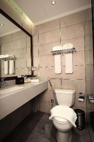 Suite-1 Queen Bed Non-Smoking Executive Room Flat Screen Television Wi-Fi Air-Conditioned