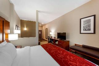 1 King Bed, Suite, Nonsmoking, Accessible